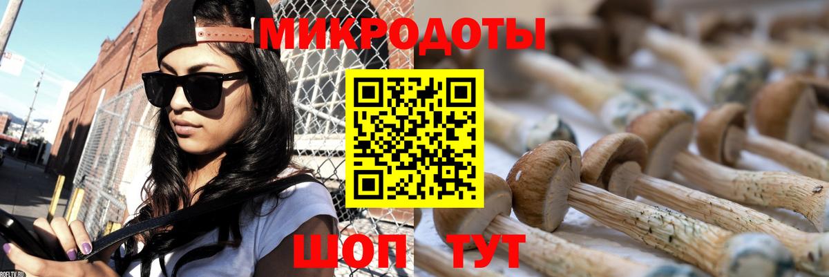 Кызыл  где можно купить наркотик  Вход с VPN  Псилоцибиновые грибы MAGIC MUSHROOMS 